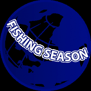 Спиннинг APIA Foojin AD Night Hawk 91мл